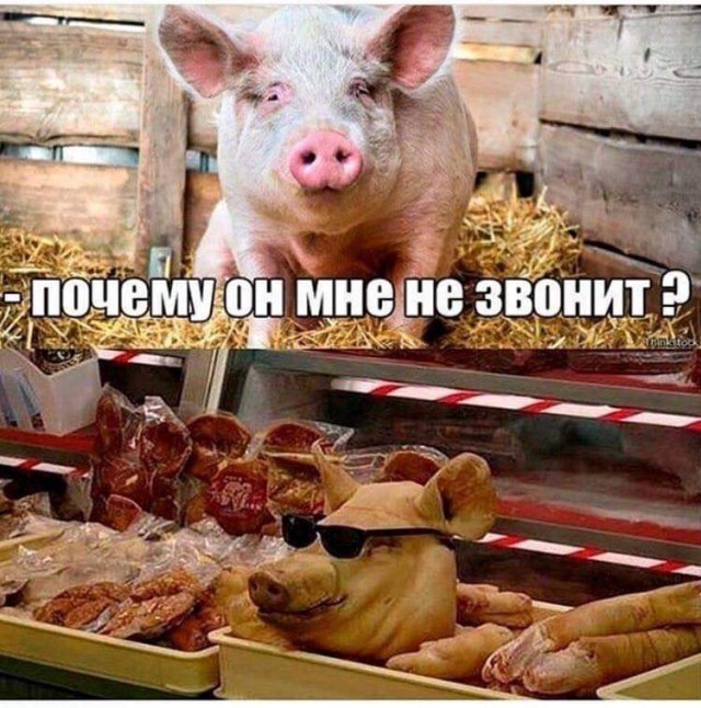 Неадекват - вот наш формат!