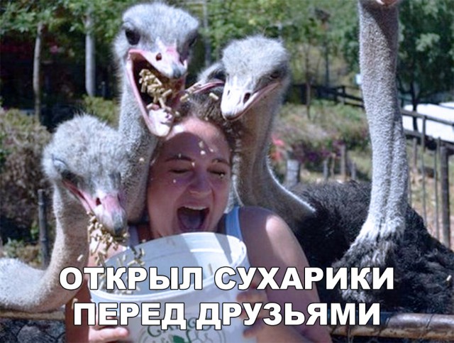 Нестандартный юмор