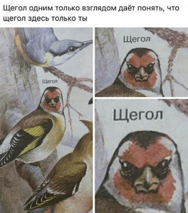 Немного картинок в этот понедельник