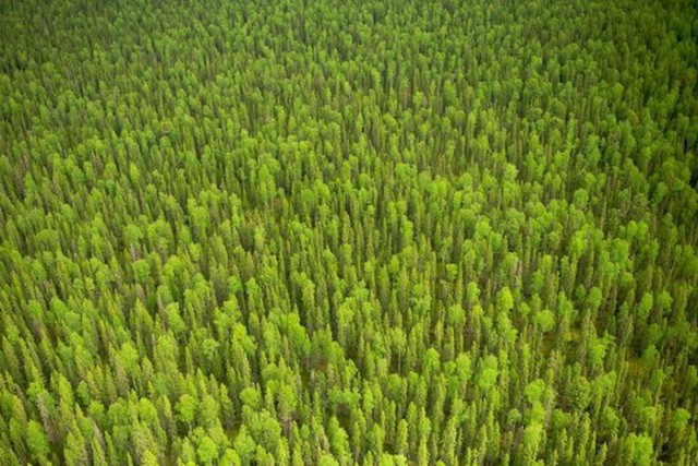 Интересные факты от National Geographic