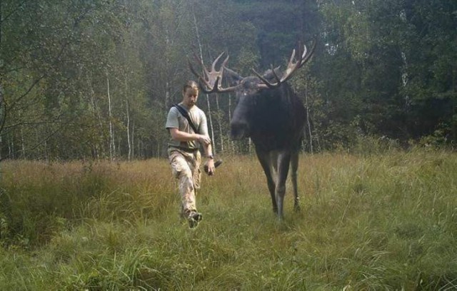 Живность из сети