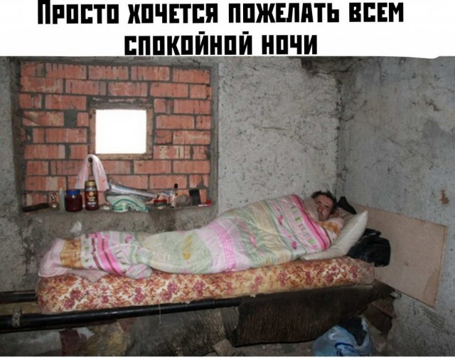 Скотсети и прочие интернеты 02.08.19