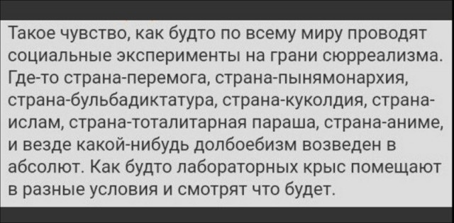 Забавные шутки, картинки и фразы из этих ваших интернетов