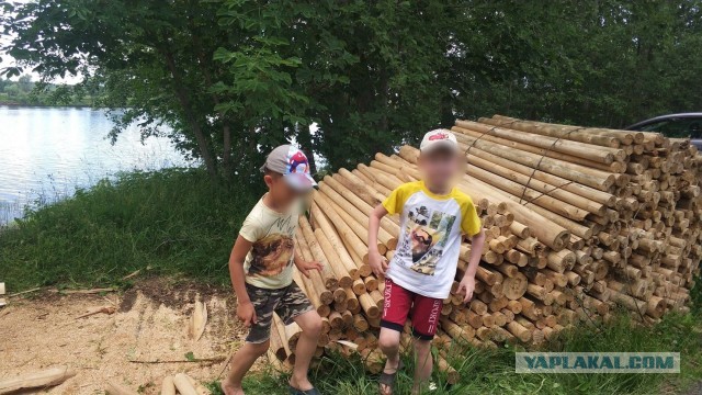 А вы видели, как делают шпон?