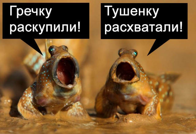 И у нас началось?
