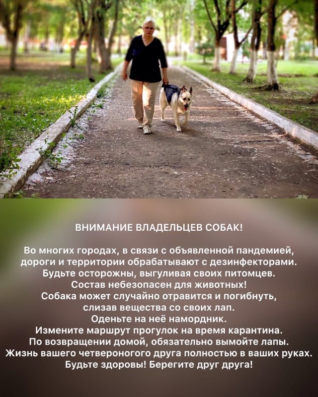 Пандемия . Коронавирус.  Россия. Последняя информация. Часть - 10.