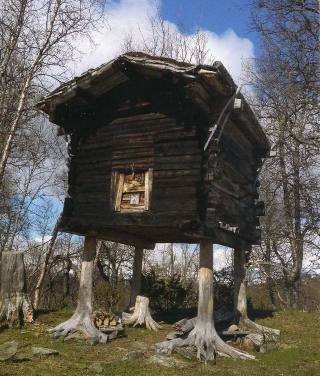 Картинки с надписями и без