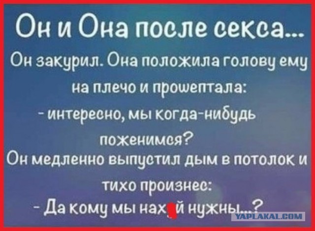 Бредзона 20.04.2020