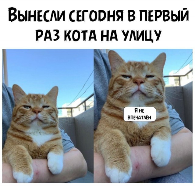 Немного картинок для настроения 116