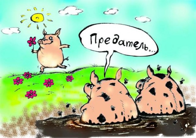 Эволюция жен