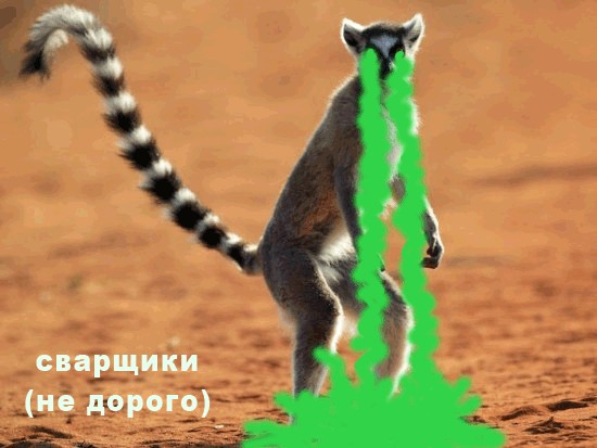 Крылья...ноги...Главное-хвост!