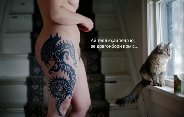 Кошатникам