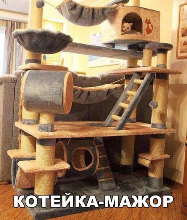 Картинки и мемы для настроения 30.01.21