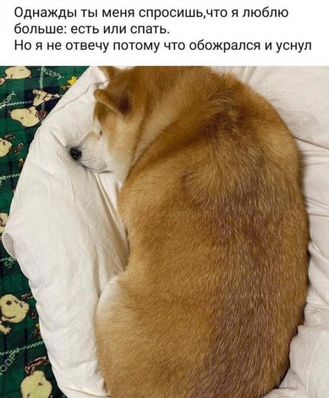 Картинки и мемы для настроения 018