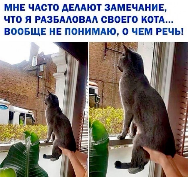 Картинки с надписями и всякие жизненные фразы 15.05.21