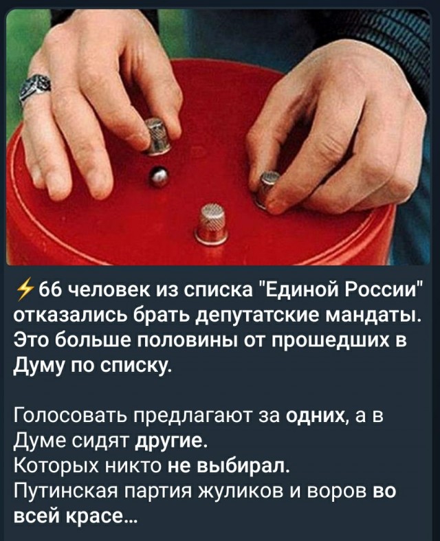 Лавров, Шойгу, Проценко и Шмелева отказались от мандатов депутатов Госдумы