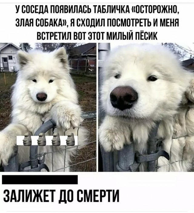 Картинки и мемы, всем прекрасных выходных