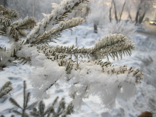 Не корона, не куркод, не казахи. Глянь на снежную сказку