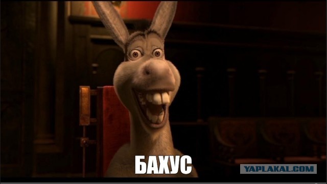 Как так можно?