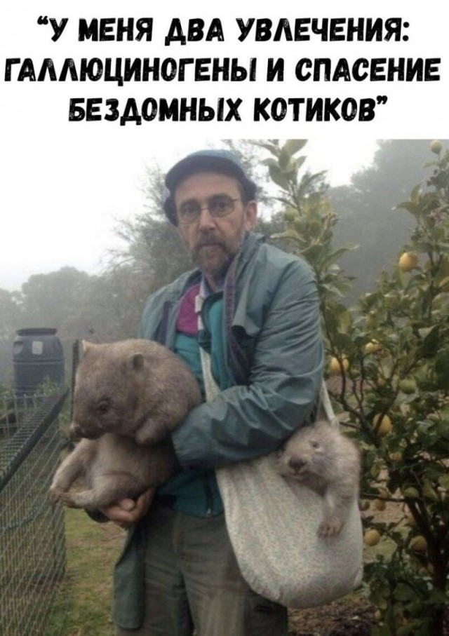 Всякие картинки, для расслабиться от всего вот этого...