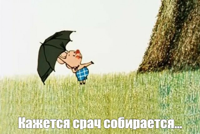 Власти Херсонской области намериены попросить Путина о принятии в состав РФ
