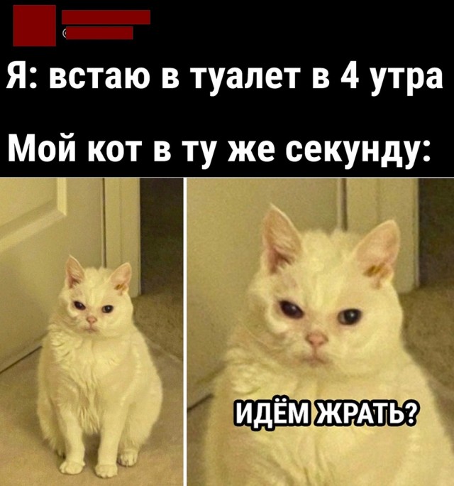 Так себе картинки 12.05.22