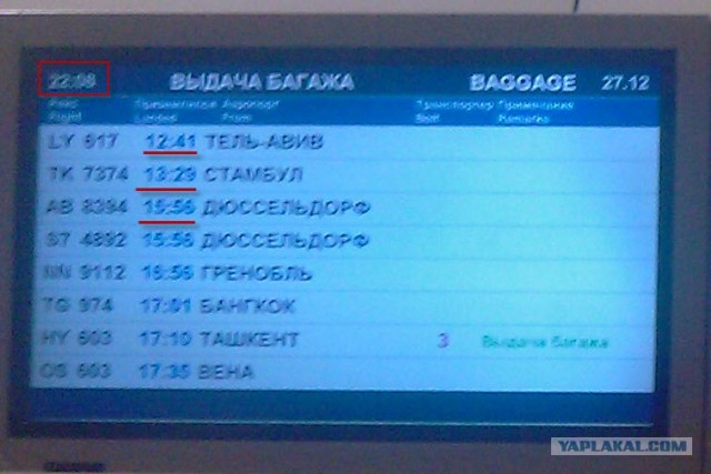 Три незабываемых дня в аэропорту Домодедово.