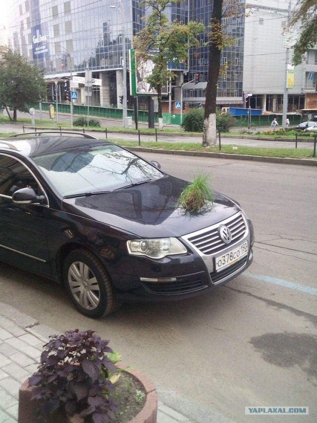 Поездка в Киев