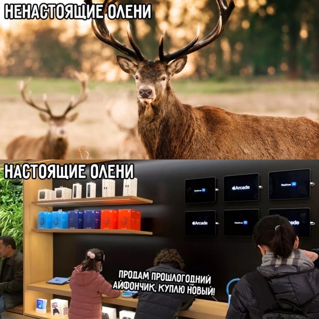 Картинки и мемы для настроения - 17
