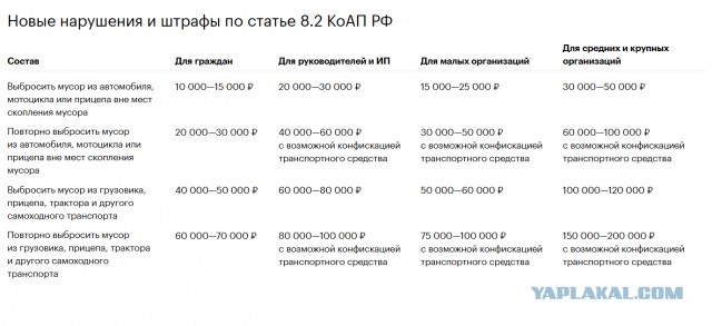 Мусор в культурной столице!