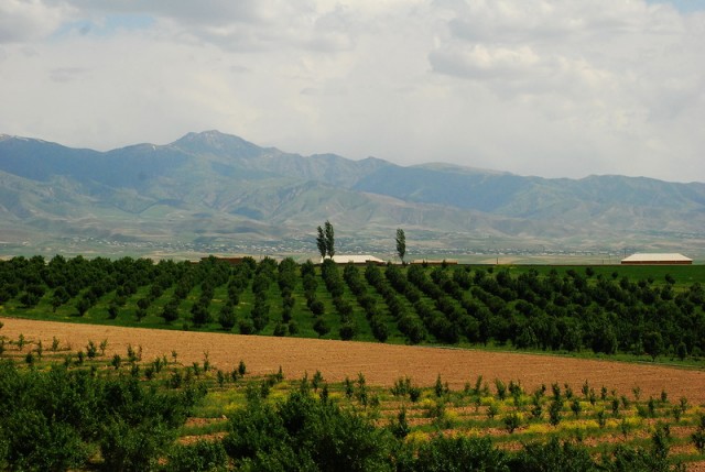 Путешествие на ВАЗе