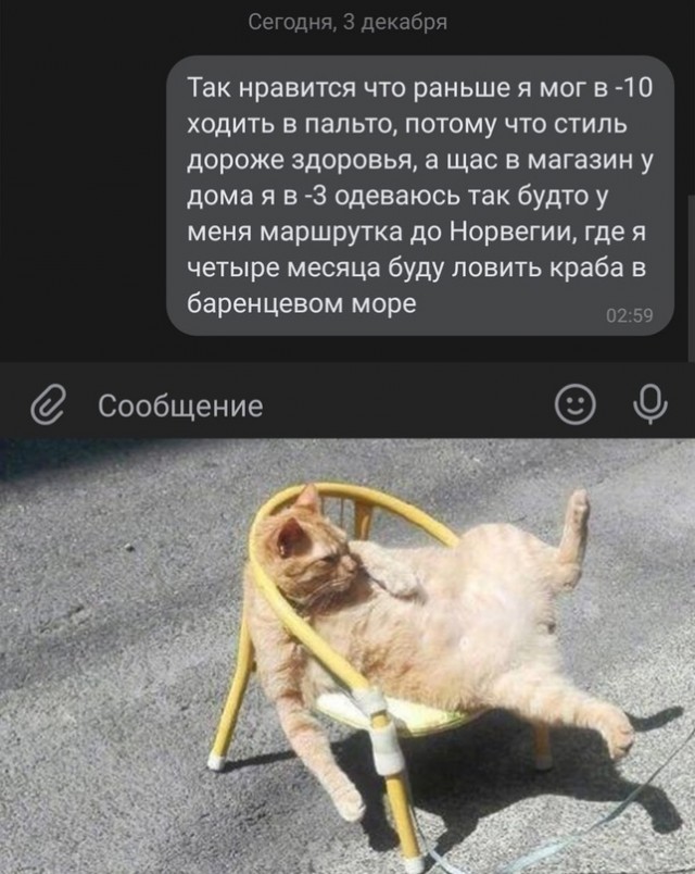Картинки и мемы для настроения - 133