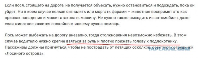 На Волчихинском водохранилище любопытный лось подошел к рыбаку