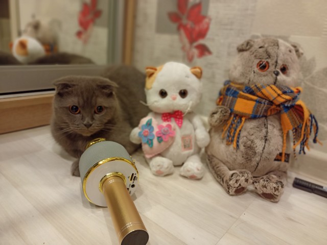 Красотка