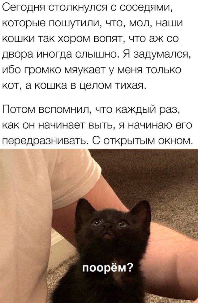 Так себе картинки 06.10.23