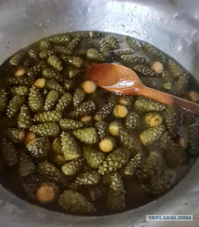 Гусь Новогодний