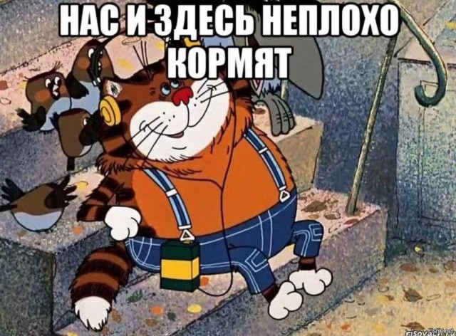 Коток