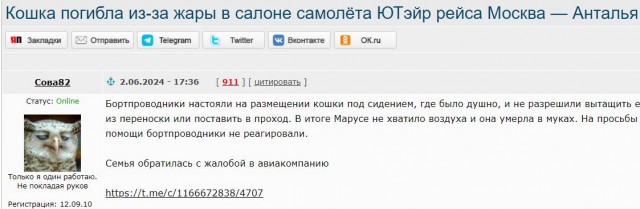 Кошка погибла из-за жары в салоне самолёта ЮТэйр рейса Москва — Анталья