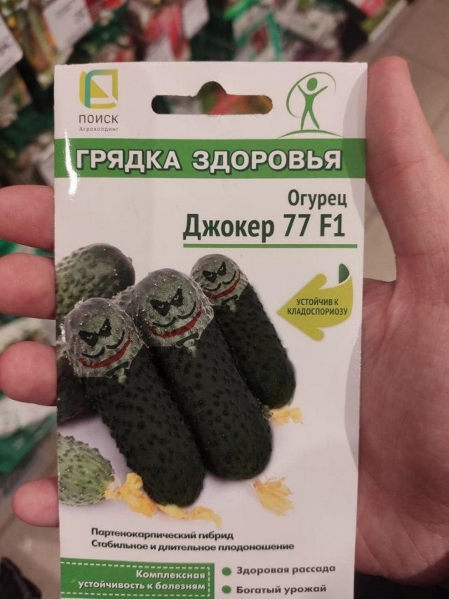 Нуштош 05.07.2024