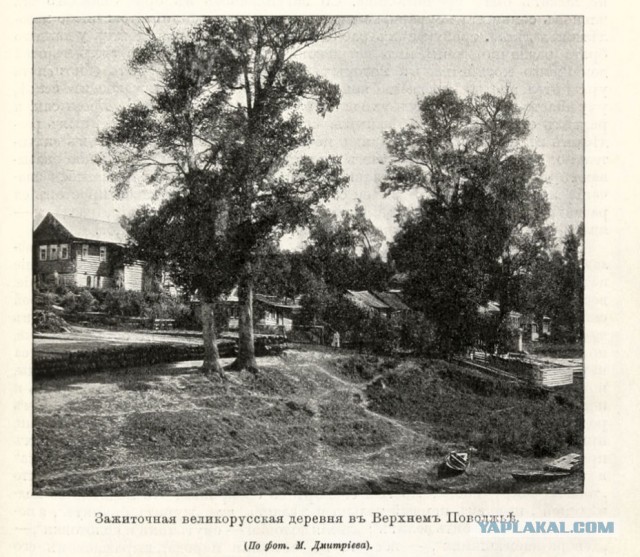 1917-1920. Из архива генерала Антона Ивановича Деникина