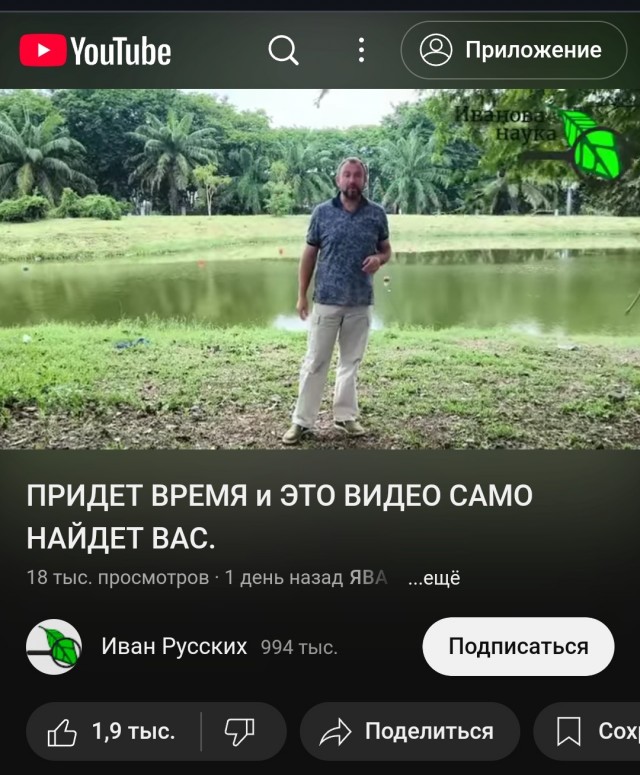 YouTube почти окончательно заблокирован в России, считают эксперты