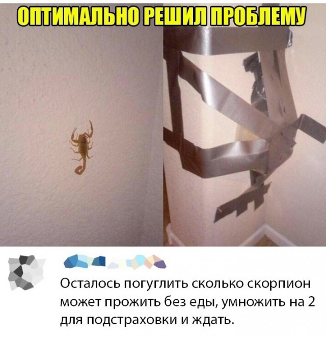 Так себе картинки 18.02.25