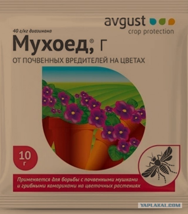 Как выжить незваных гостей?