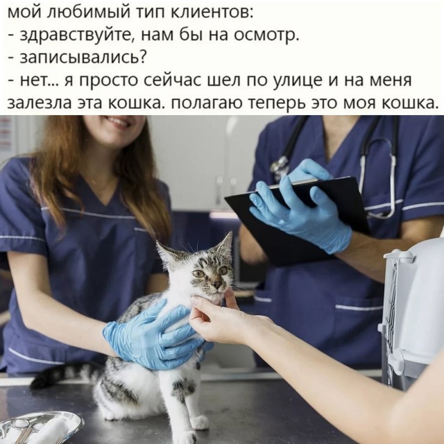 Так себе картинки 17.06.25