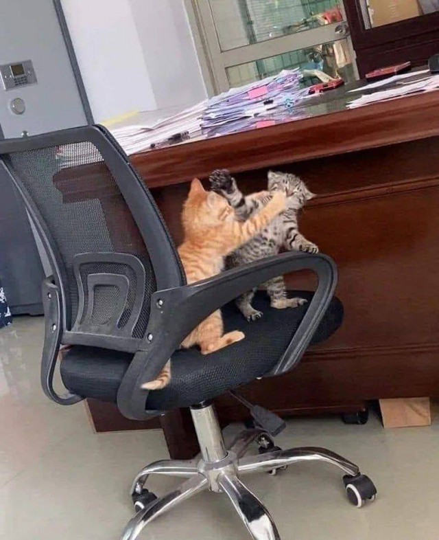 Те самые двое коллег на работе