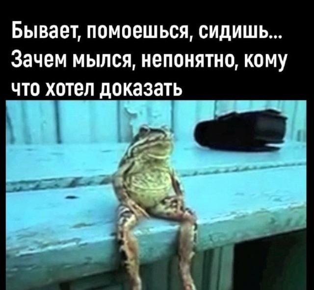 Картинки для деградации 36 (разной степени свежести)