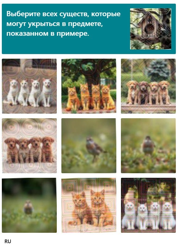 Интересные капчи на научном ресурсе