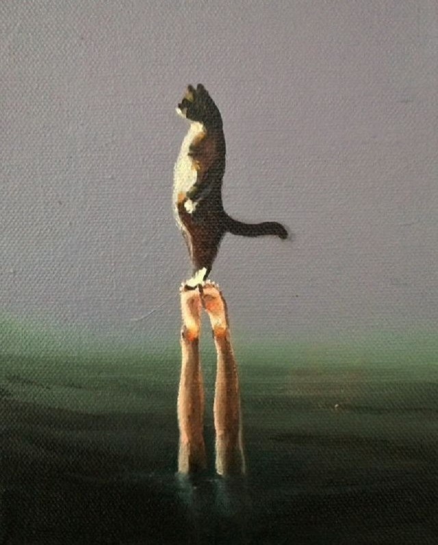 Так себе картинки 14.11.25