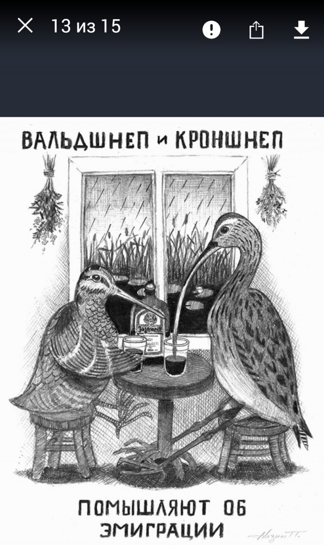 Одностраничные комиксы и не одностраничные комиксы.