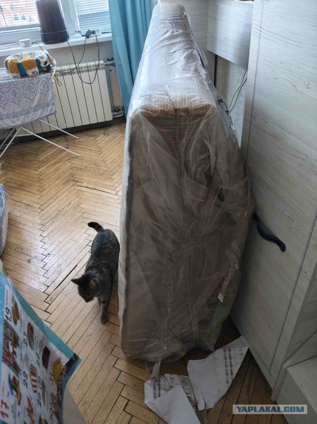 Кому что подарили
